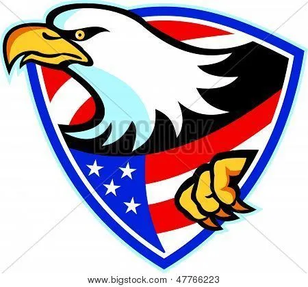Vectores y fotos en stock de Escudo de bandera americana águila ...
