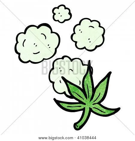 Vectores y fotos en stock de hoja de marihuana dibujos animados ...