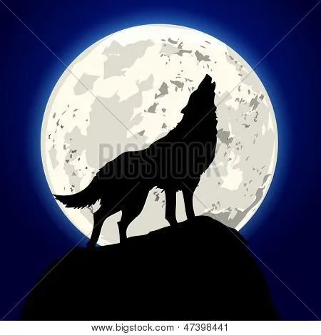 Vectores y fotos en stock de Ilustración detallada de un lobo ...