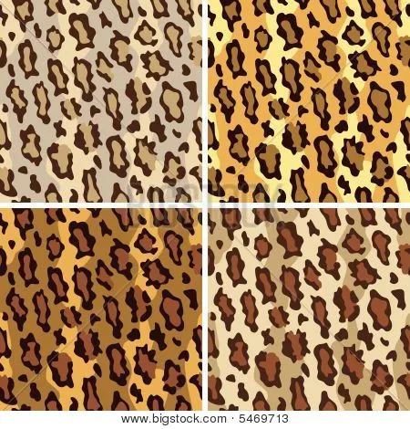 Vectores y fotos en stock de Patrón de manchas de leopardo en Tame ...