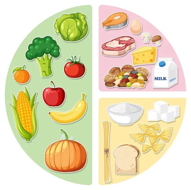 Vectores e ilustraciones de Alimentos saludables dibujos para descargar gratis | Freepik
