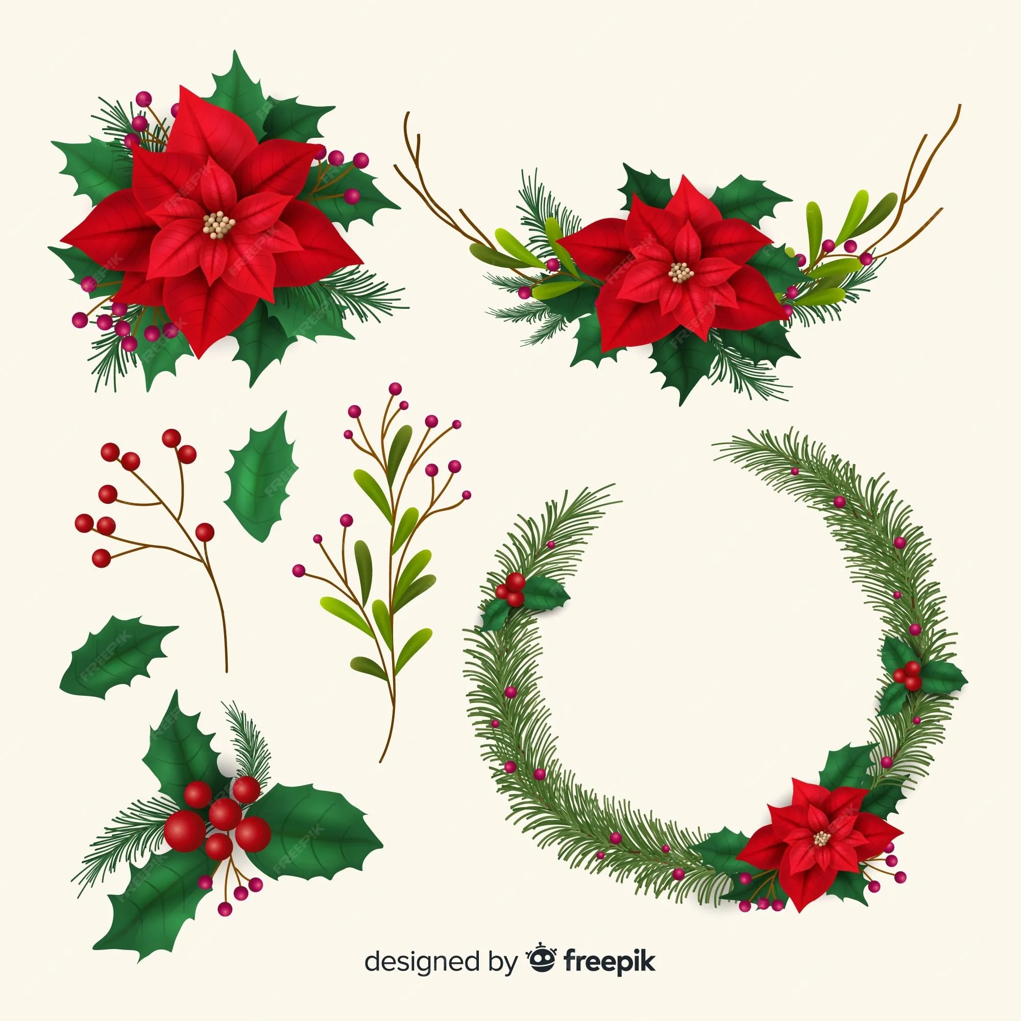 Vectores e ilustraciones de Flor navidad para descargar gratis | Freepik