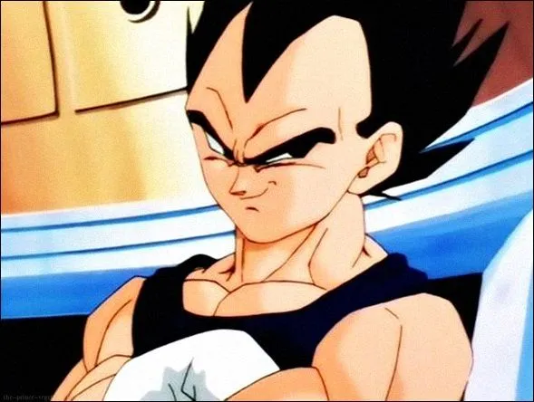 Vegeta the prince of the saiyans