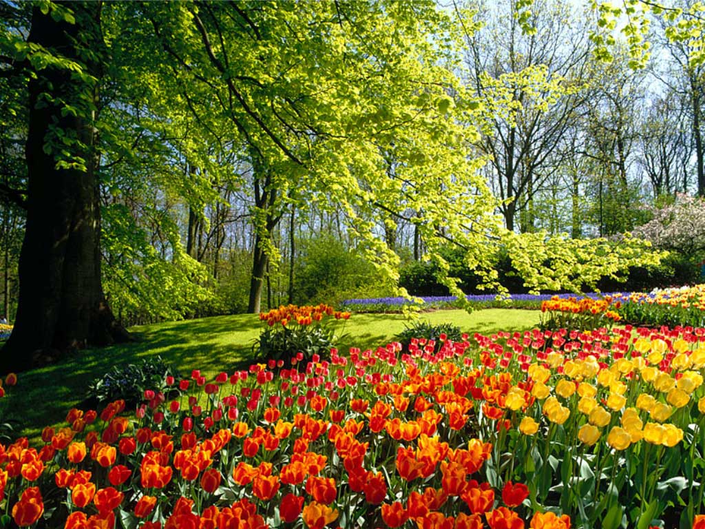 todo lo que veia era un colorido y florido paisaje