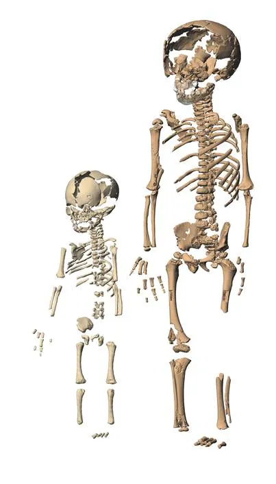 LA VELLETA VERDA. Mediterrani: ¿Es posible clonar un neandertal?