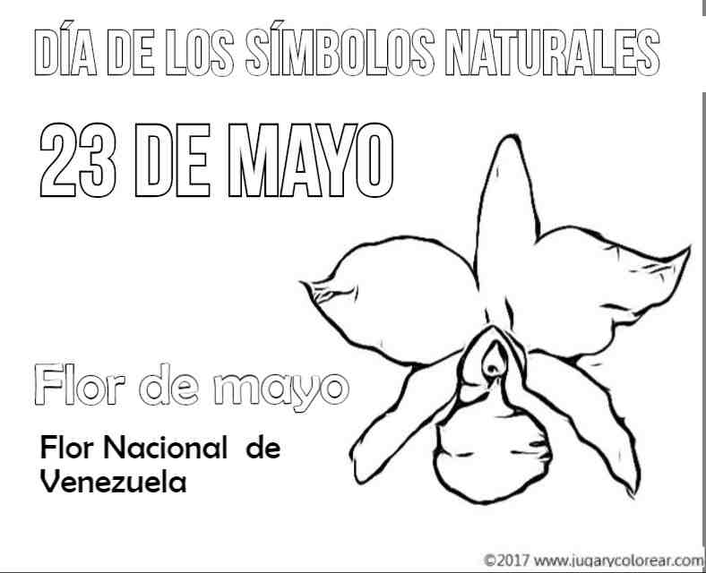 Venezuela 23 de Mayo, símbolos naturales - Jugar y Colorear