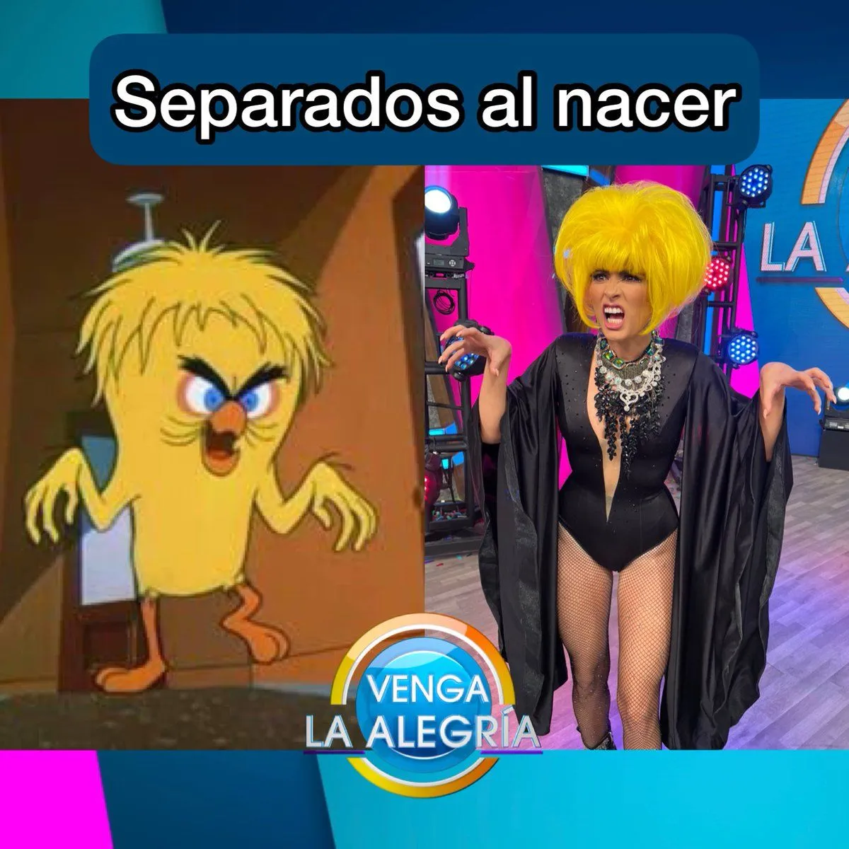 Venga la Alegría on X: 