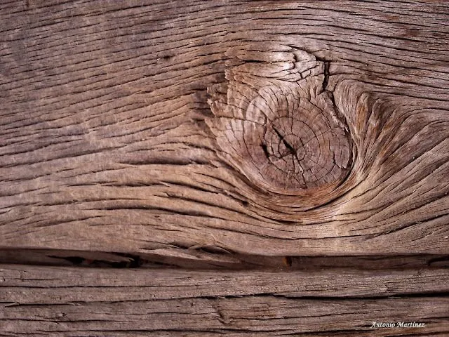 Una ventana a la naturaleza: Textura de madera seca