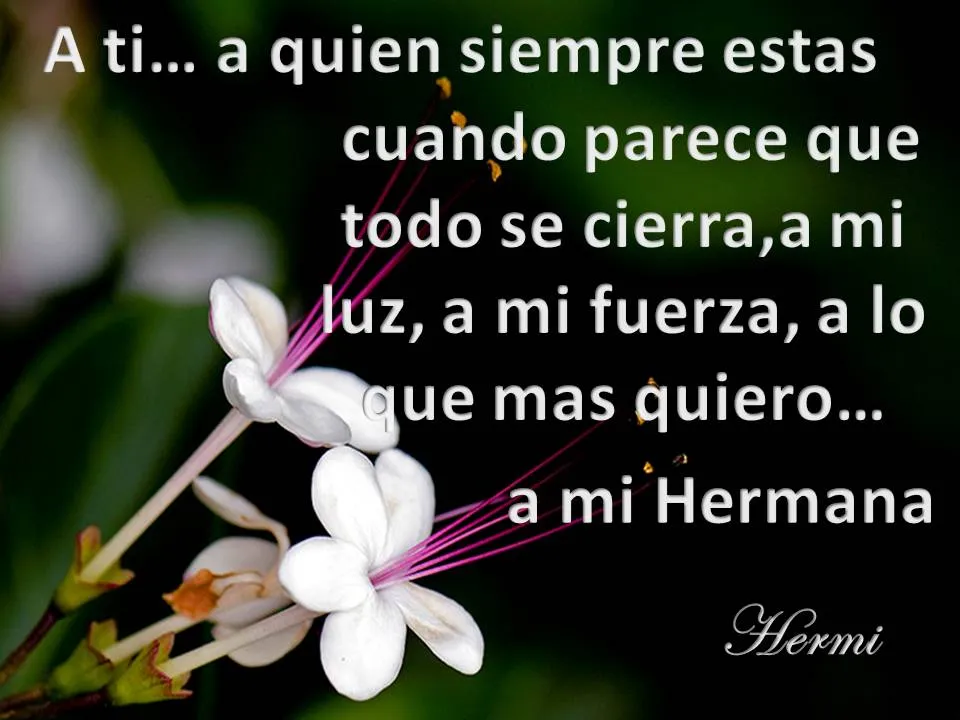 UNA VENTANA PARA TODOS: A MI HERMANA