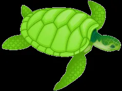  ... verde tortuga descripcion clipart de una tortuga marina verde chelonia
