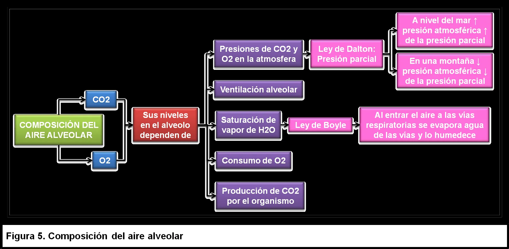 VERÓNICA DURÁN « Blog que pretende plasmar a través de un reporte ...