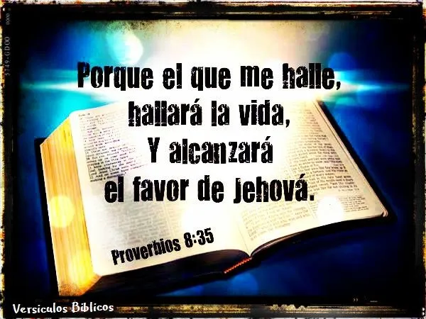 Versículos Biblicos: Proverbios 8: