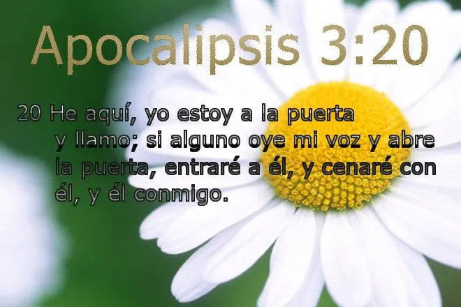 Versiculos Del Amor De Dios