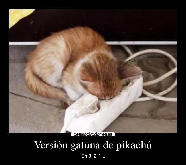 Versión gatuna de pikachú | Desmotivaciones