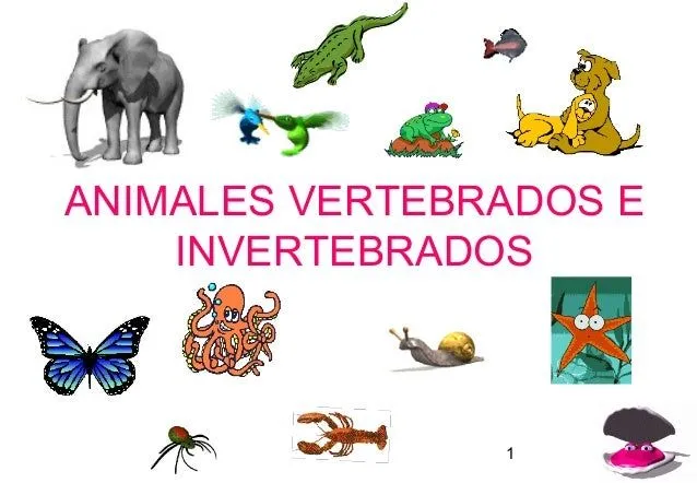 Vertebrados e Invertebrados 090528125904-