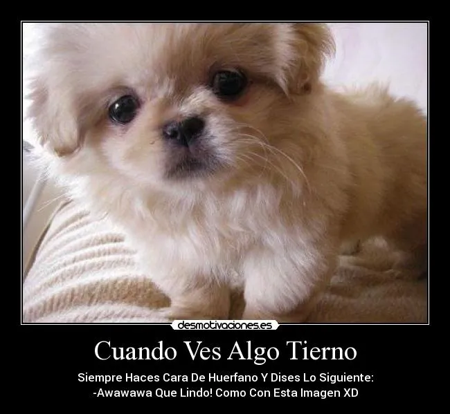 Cuando Ves Algo Tierno | Desmotivaciones