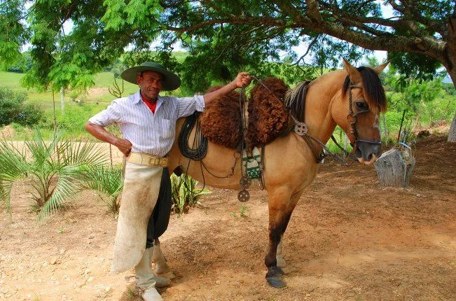 Vestimenta y trajes típicos de Brasil