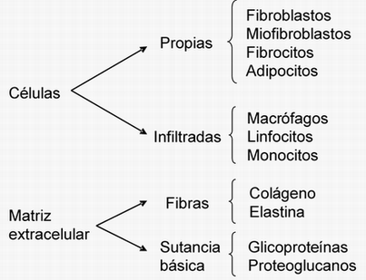 La vía de Ras - Monografias.