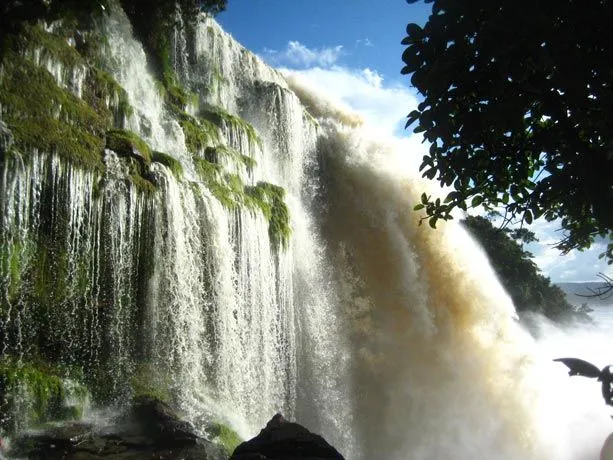 Viaje económico al parque de Canaima y el Salto del Ángel