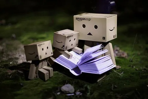 La vida se abre paso...: Danbo, un pequeño robot de cartón que ha ...