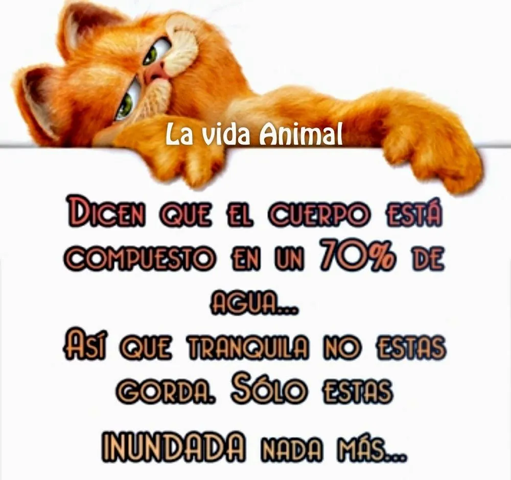 La vida Animal: Estás inundada