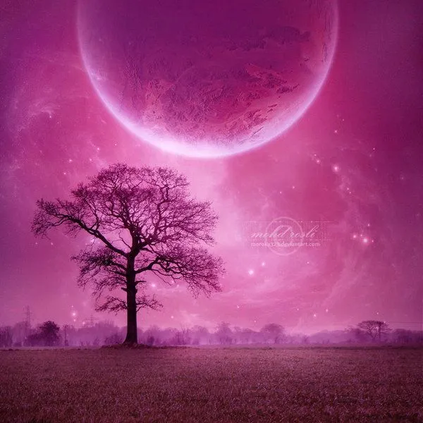 LA VIDA EN COLORES – ♥ ROSA ♥- | ♥Ƹ̵̡Ӝ̵̨̄Ʒ♥ ღ Ƹɳ Մɳ Ɽïɳ¢óɳ ...