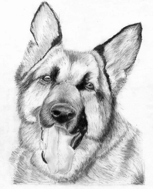 Lo Mejor De La Vida: Dibujos a lapiz