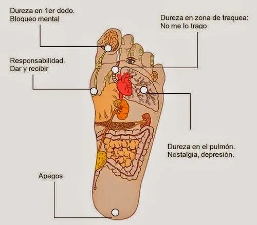 LA VIDA EN IMAGENES Y REFLEXIONES: ¡Los pies gritan lo que la boca ...