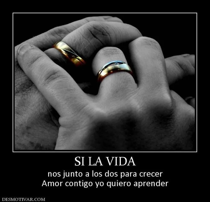 Nuestra vida juntos - Foro Viviendo juntos - bodas.com.mx