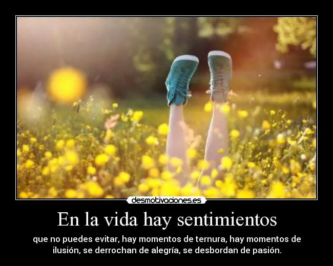 En la vida hay sentimientos | Desmotivaciones