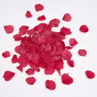 Vida y Terapias Alternativas | Productos Karma