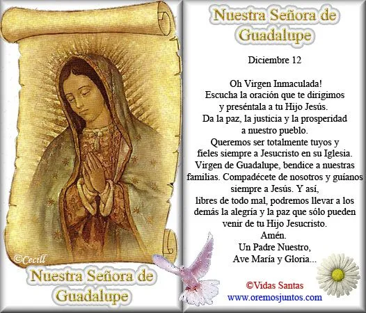 Vidas Santas: Estampita y Oración a Nuestra Señora de Guadalupe