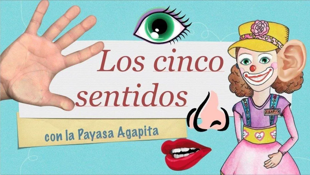 Video: Aprende los Cinco Sentidos