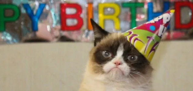 Vídeo | Cinco curiosidades sobre 'Grumpy Cat', el gato enfadado ...