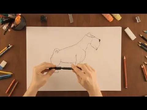 Vídeo: Cómo dibujar un Schnauzer | eHow en Español