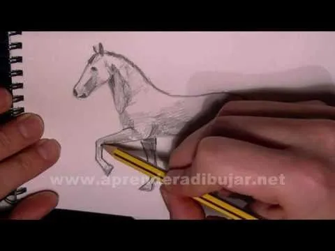 VIDEOS DE COMO DIBUJAR UN CABALLO A LAPIZ PASO A PASO DIBUJOS DE ...