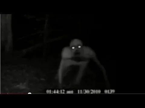 Vídeos de risa,sustos y caídas dolorosas + Vídeos de terror - YouTube