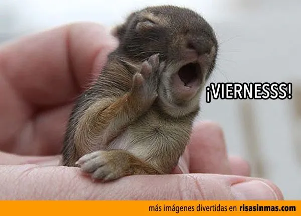 Viernesss!