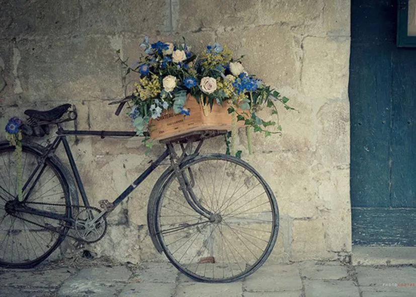 Vintage bike | Deco puntosuspensivo