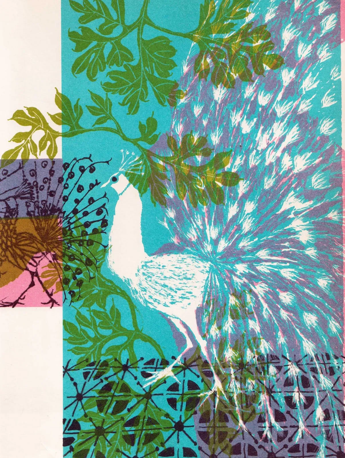 Vintage Kids' Books My Kid Loves: Pavo and the Princess