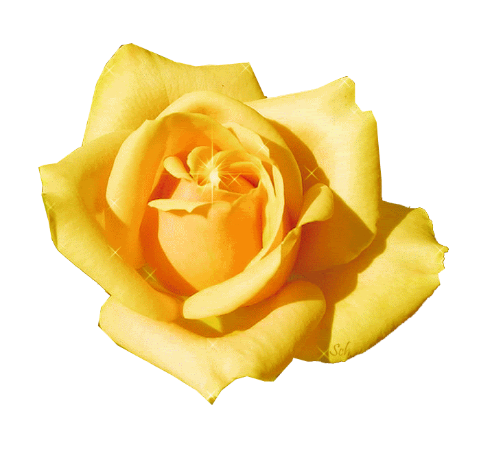 Violeta Violett ♥: ♥ Meditación de las Rosas ♥ Ejercicios y ...