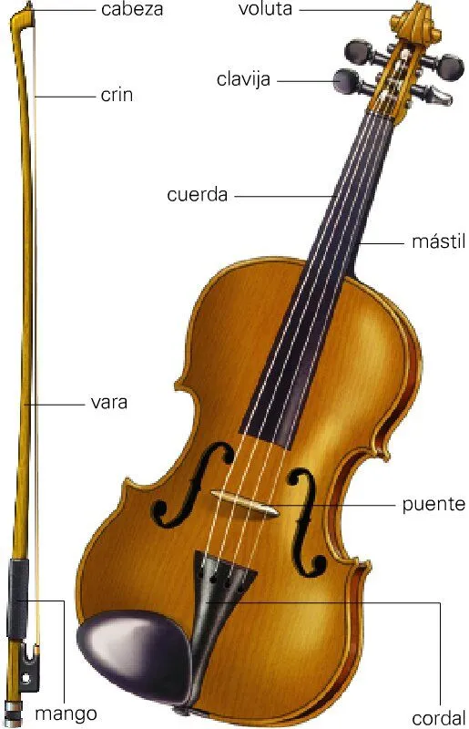 El violín: Historia, evolución y técnica.