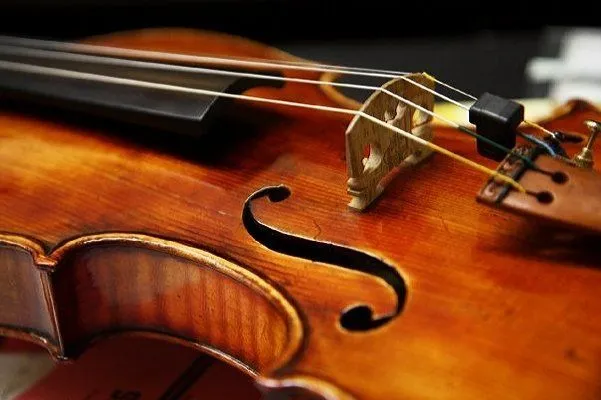 Violin/Viola Resource Page | UNCW Randall Library
