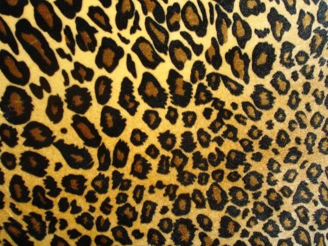 VIP (area for cows) *****: Animal print VIP. Mejor vivo o muerto.