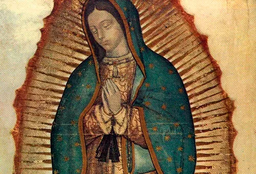 Virgen de Guadalupe: Últimas Noticias