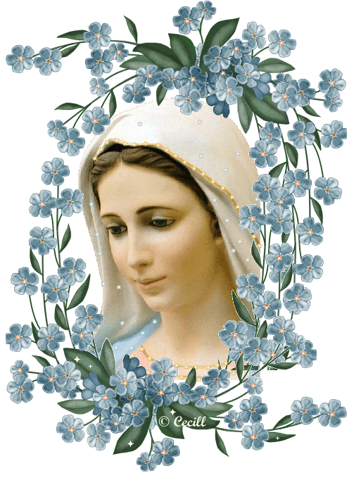  ... la Virgen María aporta “ armas de paz ” que nos ayudan a alcanzar