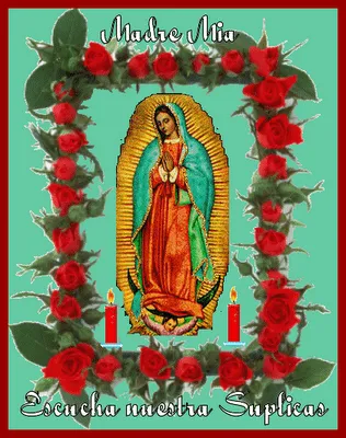 LA VIRGEN MARIA: EL VESTIDO CON EL QUE VINO LA VIRGEN DE GUADALUPE