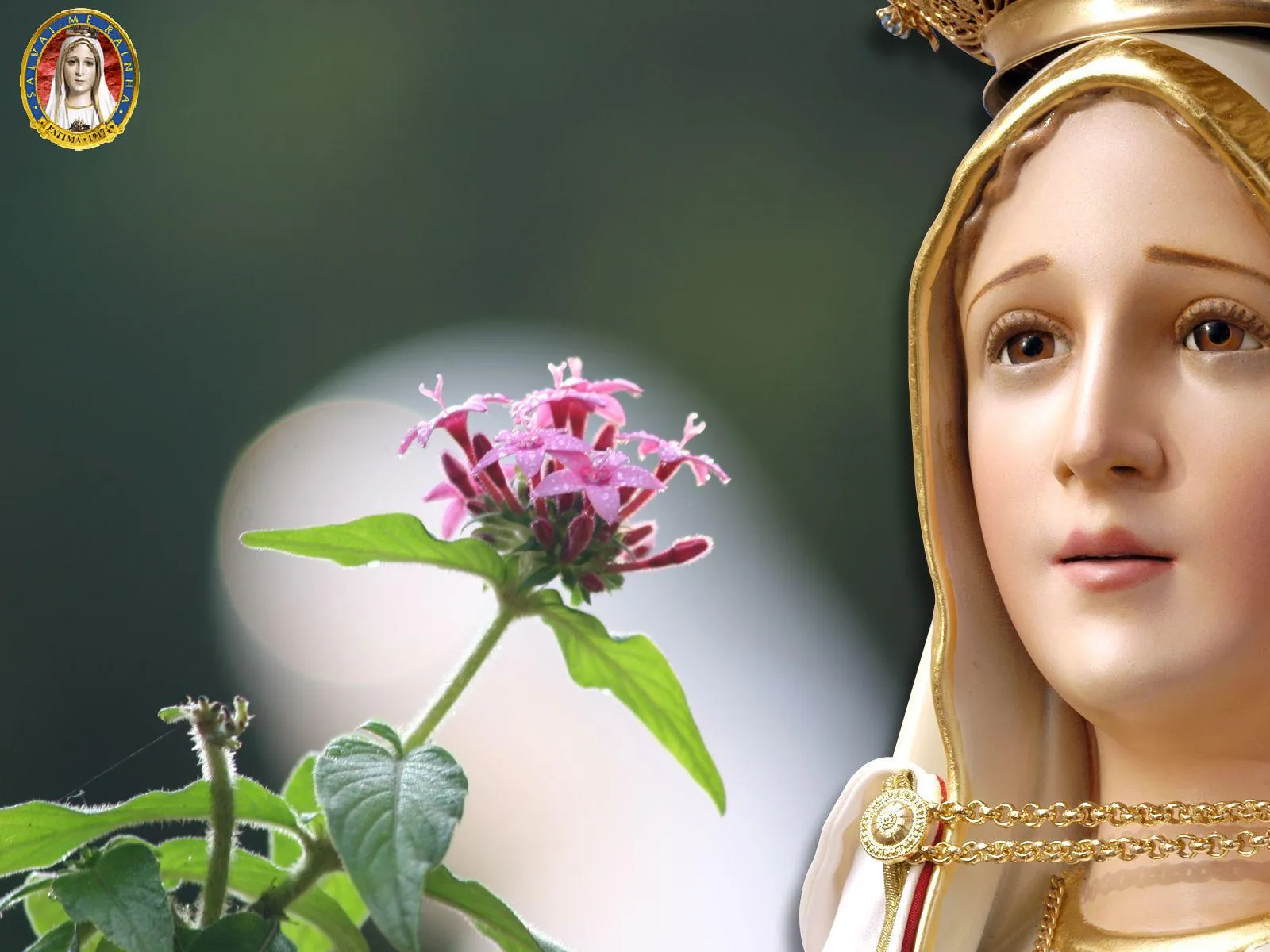 VIRGEN MARÍA, RUEGA POR NOSOTROS : FONDOS DE PANTALLA VIRGEN DE FATIMA