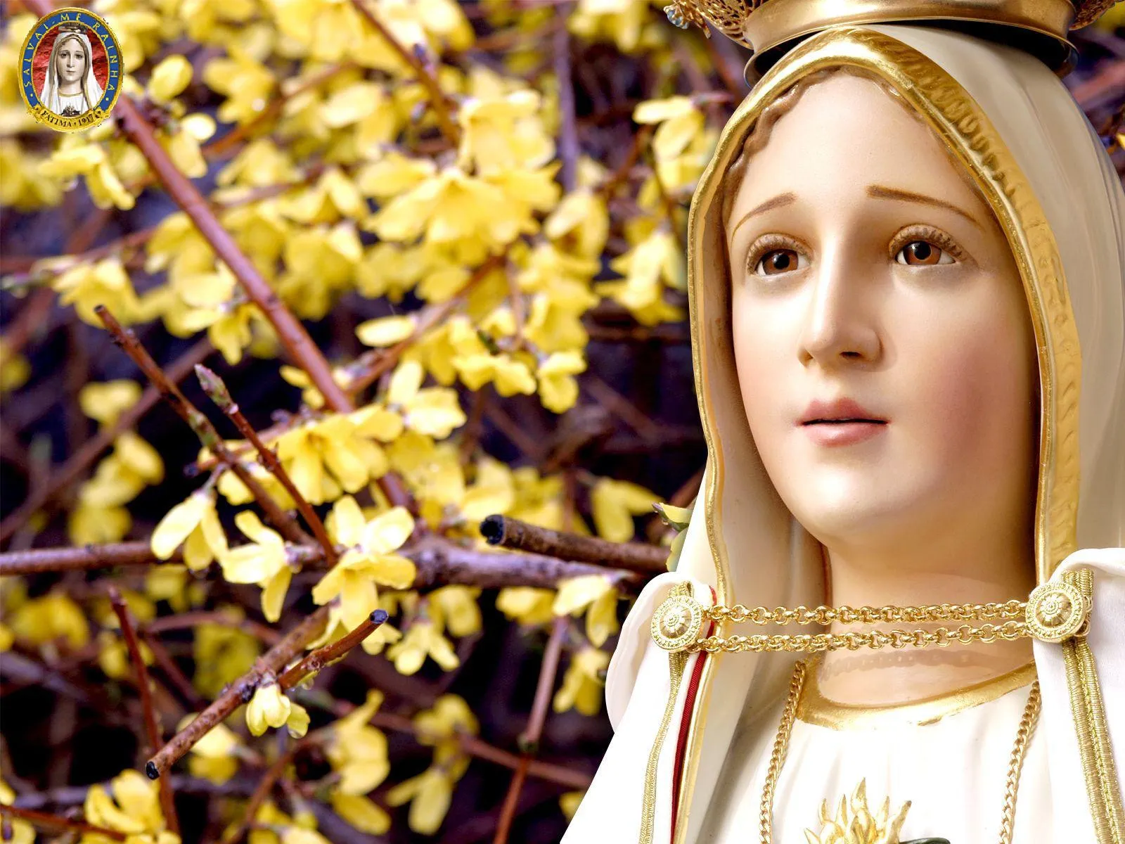 VIRGEN MARÍA, RUEGA POR NOSOTROS : FONDOS DE PANTALLA VIRGEN DE FATIMA