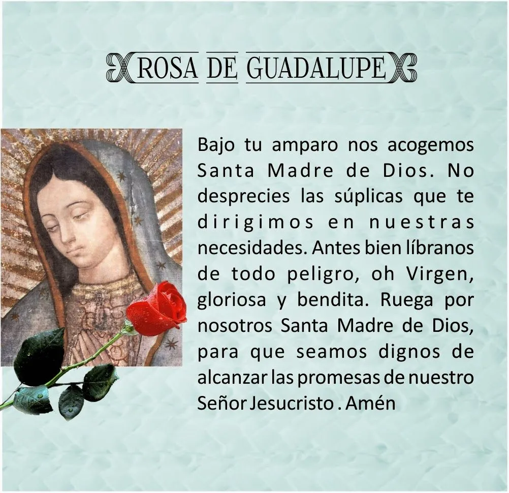 VIRGEN MARÍA, RUEGA POR NOSOTROS : ORACIÓN A LA ROSA DE GUADALUPE